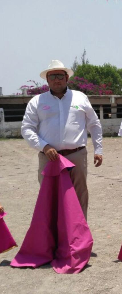 Mario Ricardo Ortiz Álvarez Tauromaquia